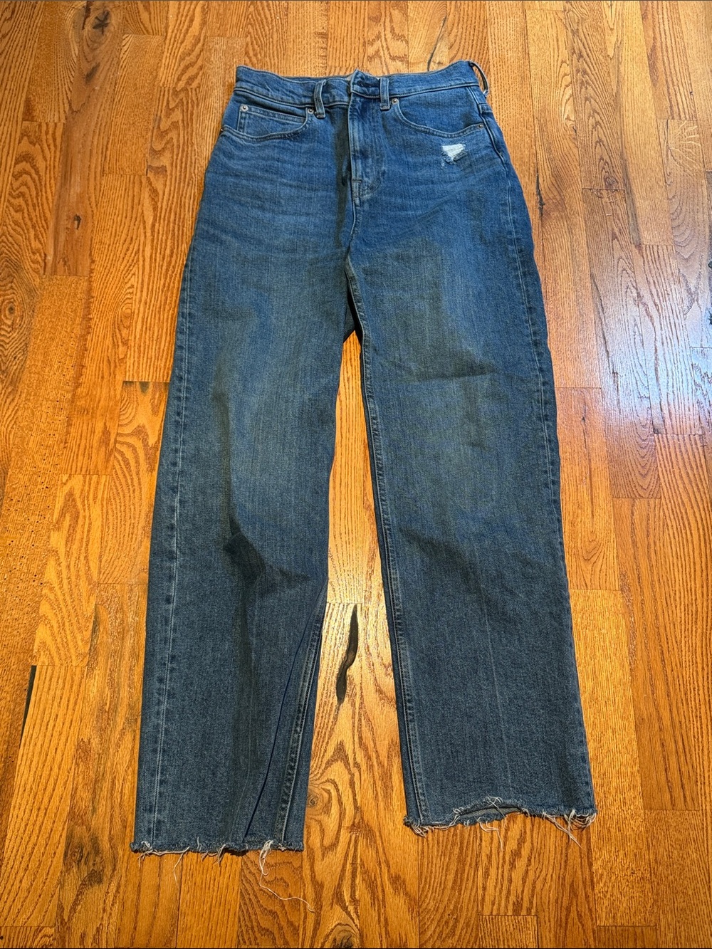 Everlane organic cotton The Way High Jean 25 regular